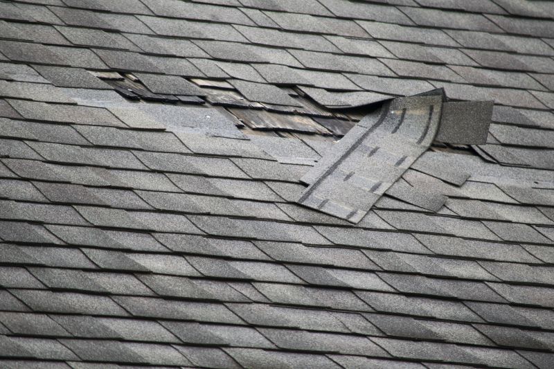 Asphalt Shingles Repair