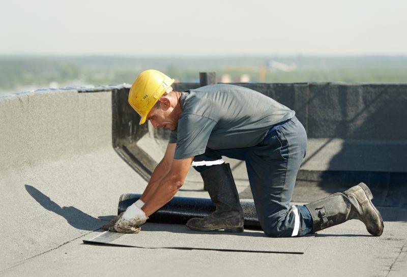 Professional Roofing Experts